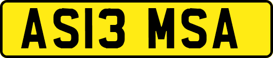 AS13MSA