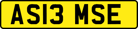 AS13MSE