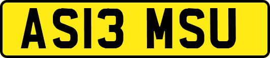 AS13MSU