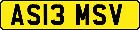 AS13MSV