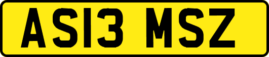 AS13MSZ