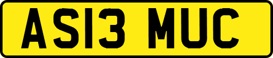 AS13MUC