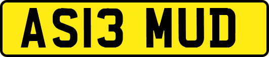 AS13MUD