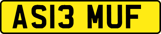 AS13MUF