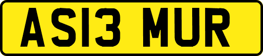 AS13MUR