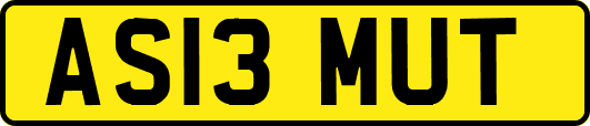 AS13MUT