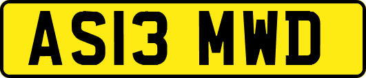 AS13MWD