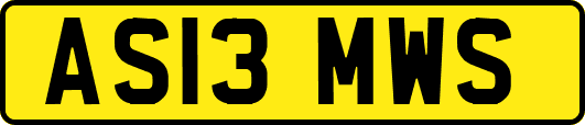 AS13MWS