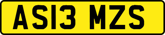 AS13MZS