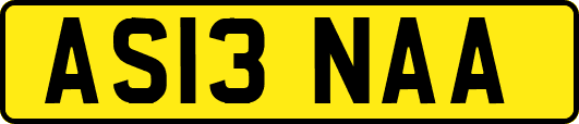 AS13NAA