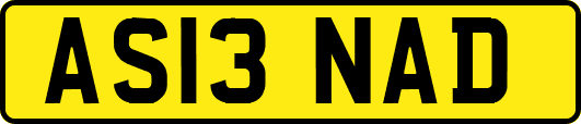 AS13NAD