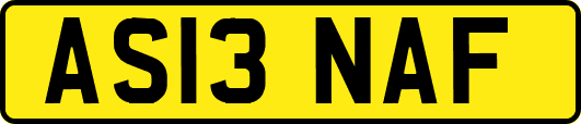 AS13NAF