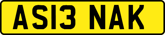 AS13NAK