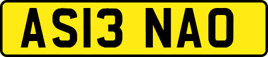 AS13NAO