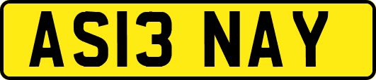 AS13NAY