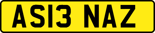 AS13NAZ