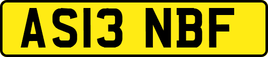 AS13NBF