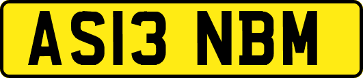 AS13NBM