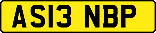 AS13NBP