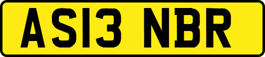 AS13NBR