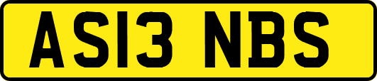 AS13NBS