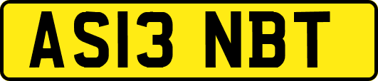 AS13NBT