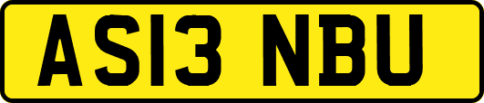AS13NBU