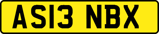 AS13NBX