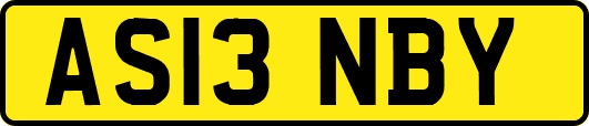 AS13NBY