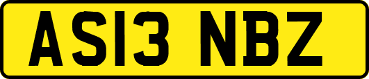 AS13NBZ