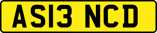 AS13NCD