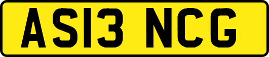 AS13NCG