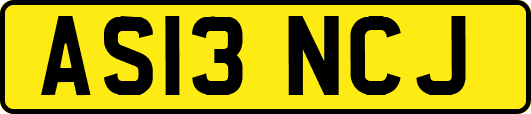 AS13NCJ