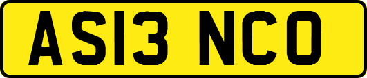 AS13NCO