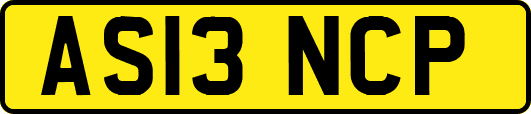 AS13NCP