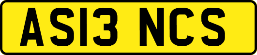 AS13NCS
