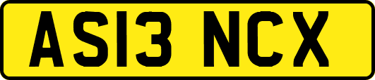 AS13NCX