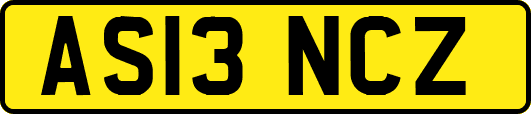 AS13NCZ