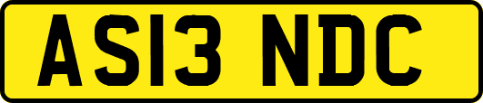 AS13NDC