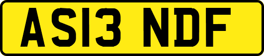 AS13NDF