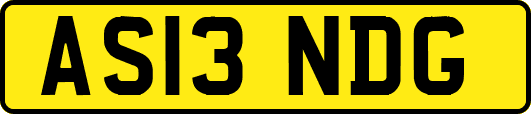 AS13NDG