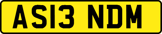 AS13NDM