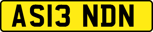 AS13NDN