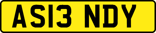 AS13NDY