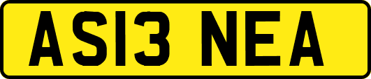 AS13NEA
