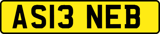 AS13NEB