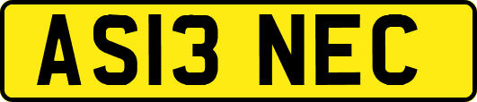 AS13NEC