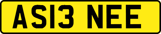 AS13NEE
