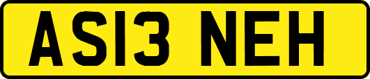 AS13NEH