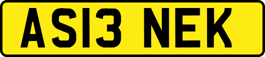 AS13NEK